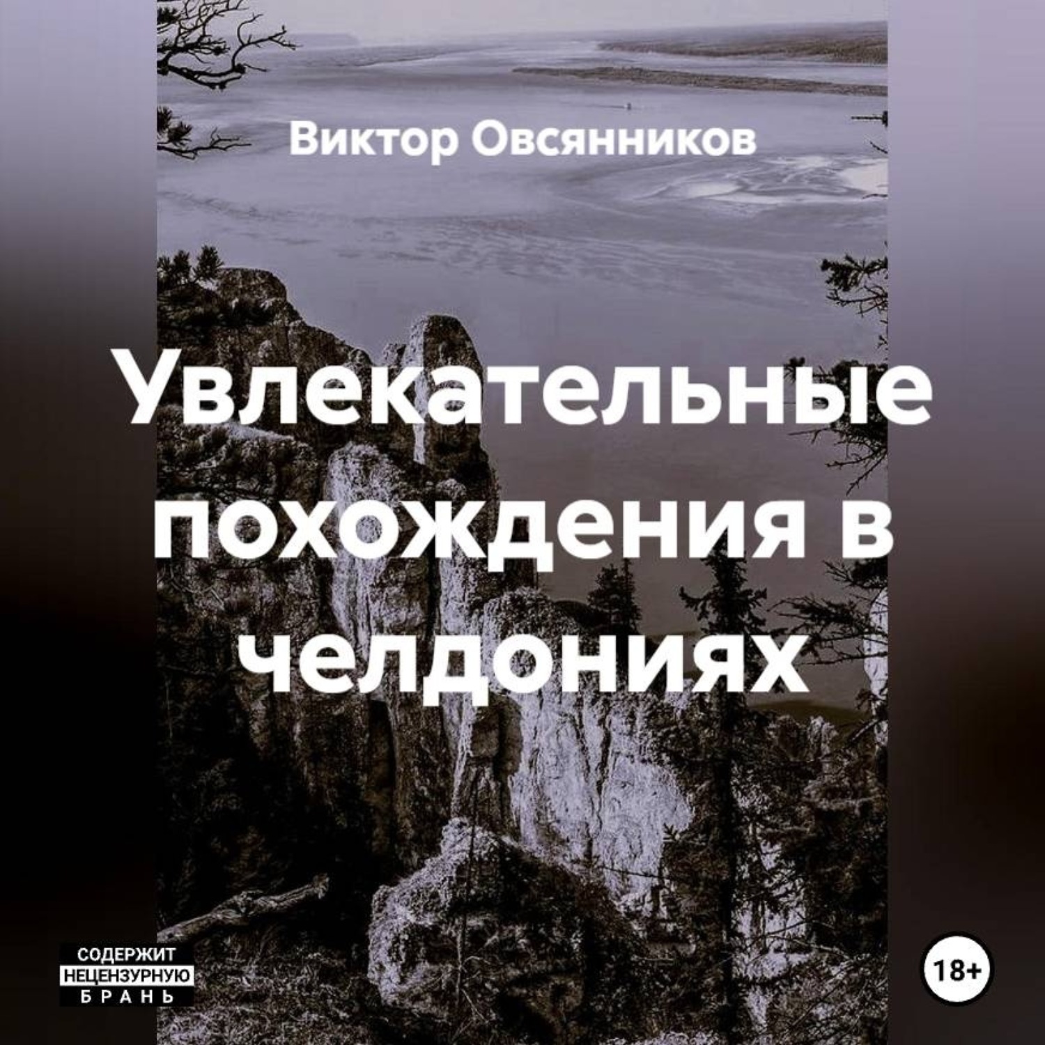Обложка книги «Увлекательные похождения в челдониях»