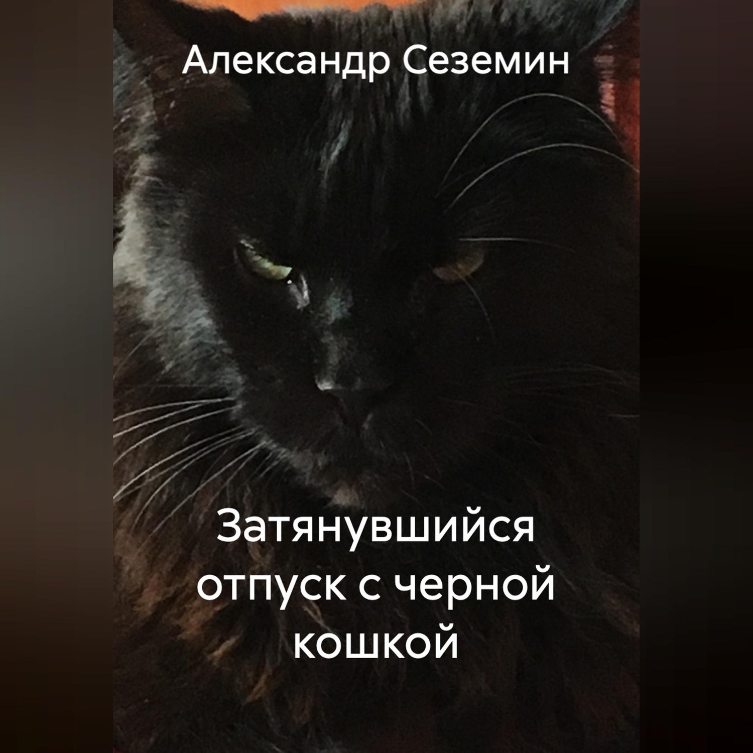 Обложка книги «Затянувшийся отпуск с черной кошкой»