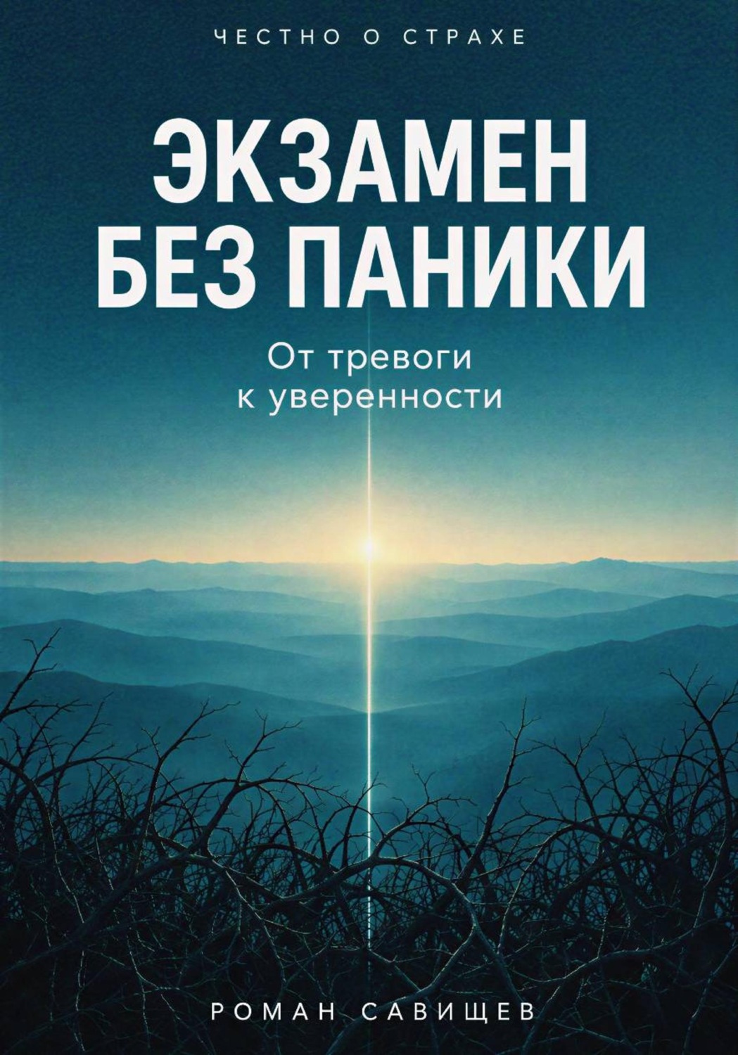 Обложка книги «Экзамен Без Паники»