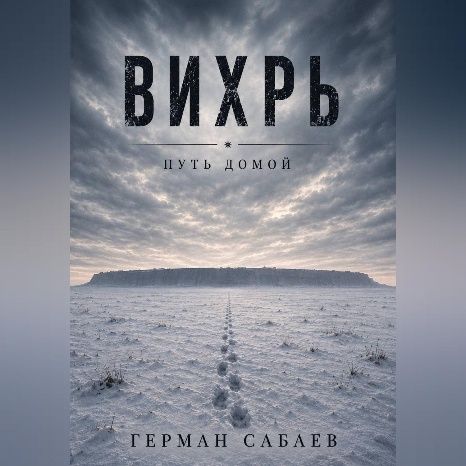 Обложка книги «Вихрь. Путь домой»