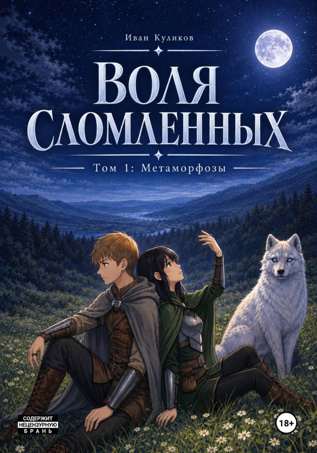 Обложка книги «Воля Сломленных»