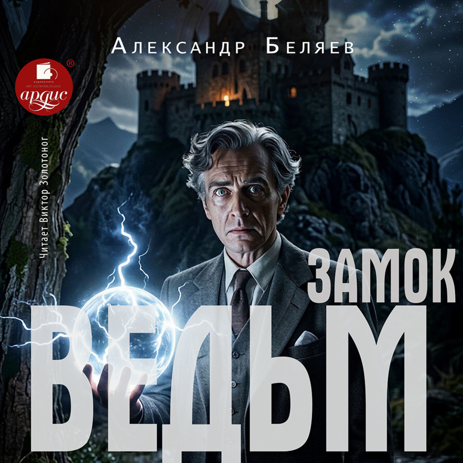 Обложка книги «Замок ведьм»