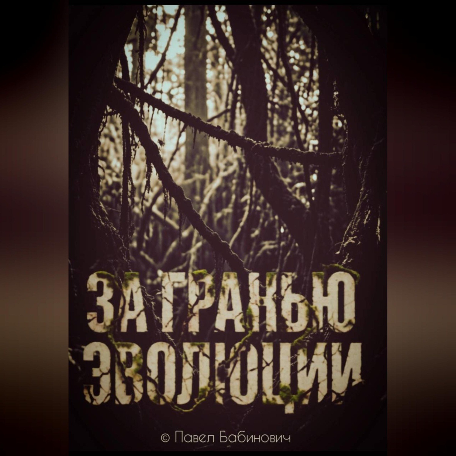 Обложка книги «За гранью эволюции»