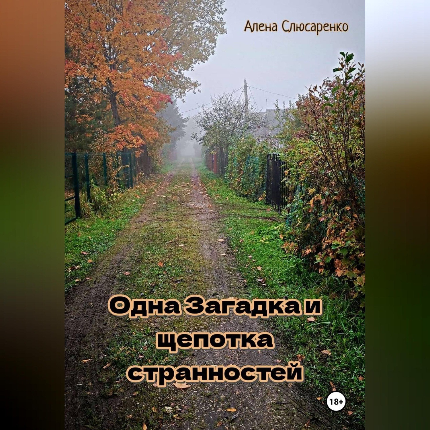 Обложка книги «Одна pагадка и щепотка странностей»