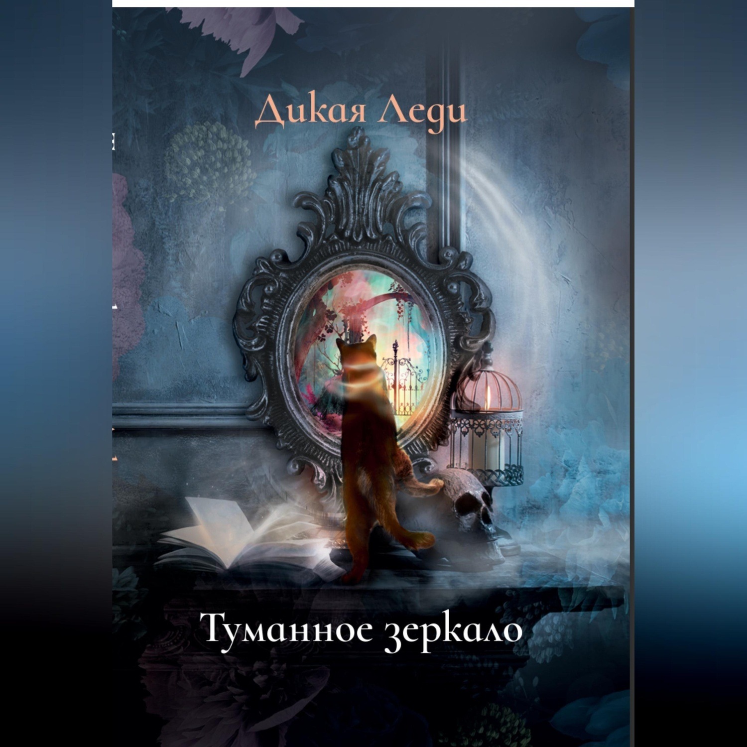 Обложка книги «Туманное зеркало»