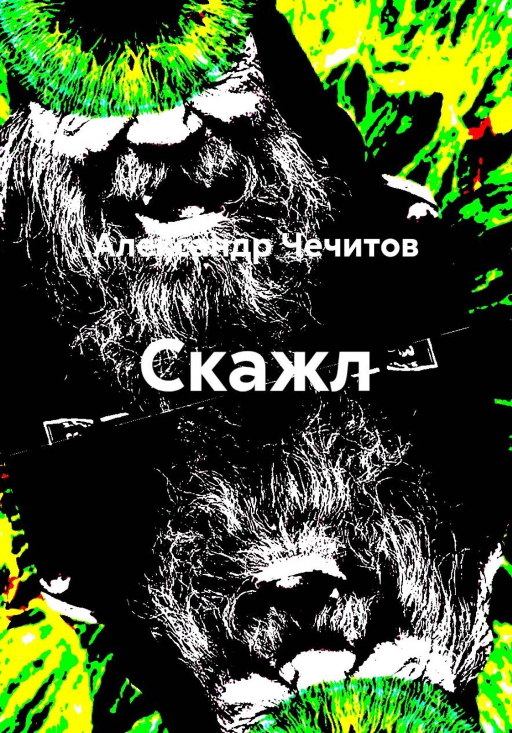 Обложка книги «Скажл»