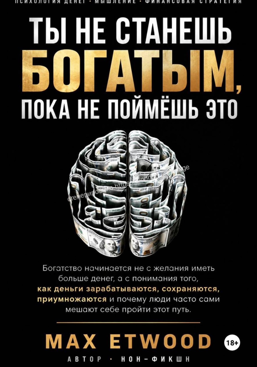 Обложка книги «Ты не станешь богатым, пока не поймёшь это»