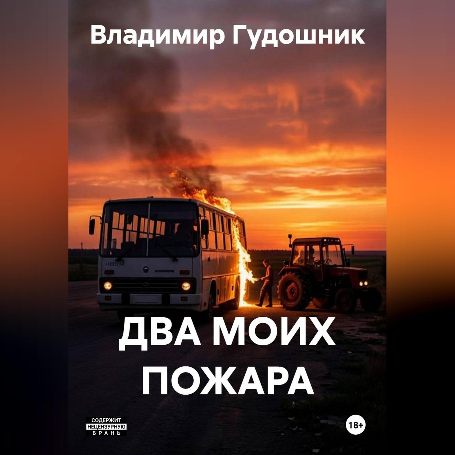 Обложка книги «Два моих пожара»