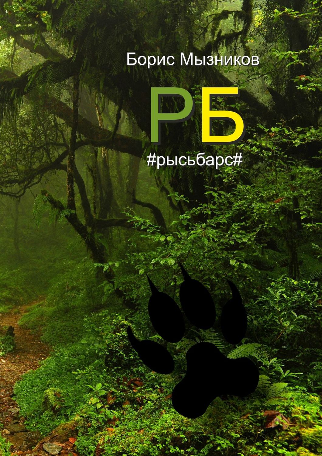 Обложка книги «РБ #рысьбарс#. Есть ли любовь еще до первого взгляда?»
