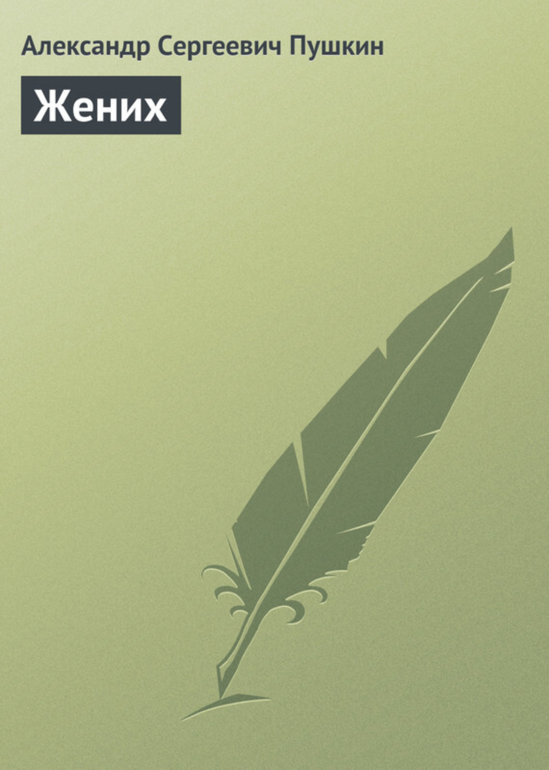 Обложка книги «Жених»