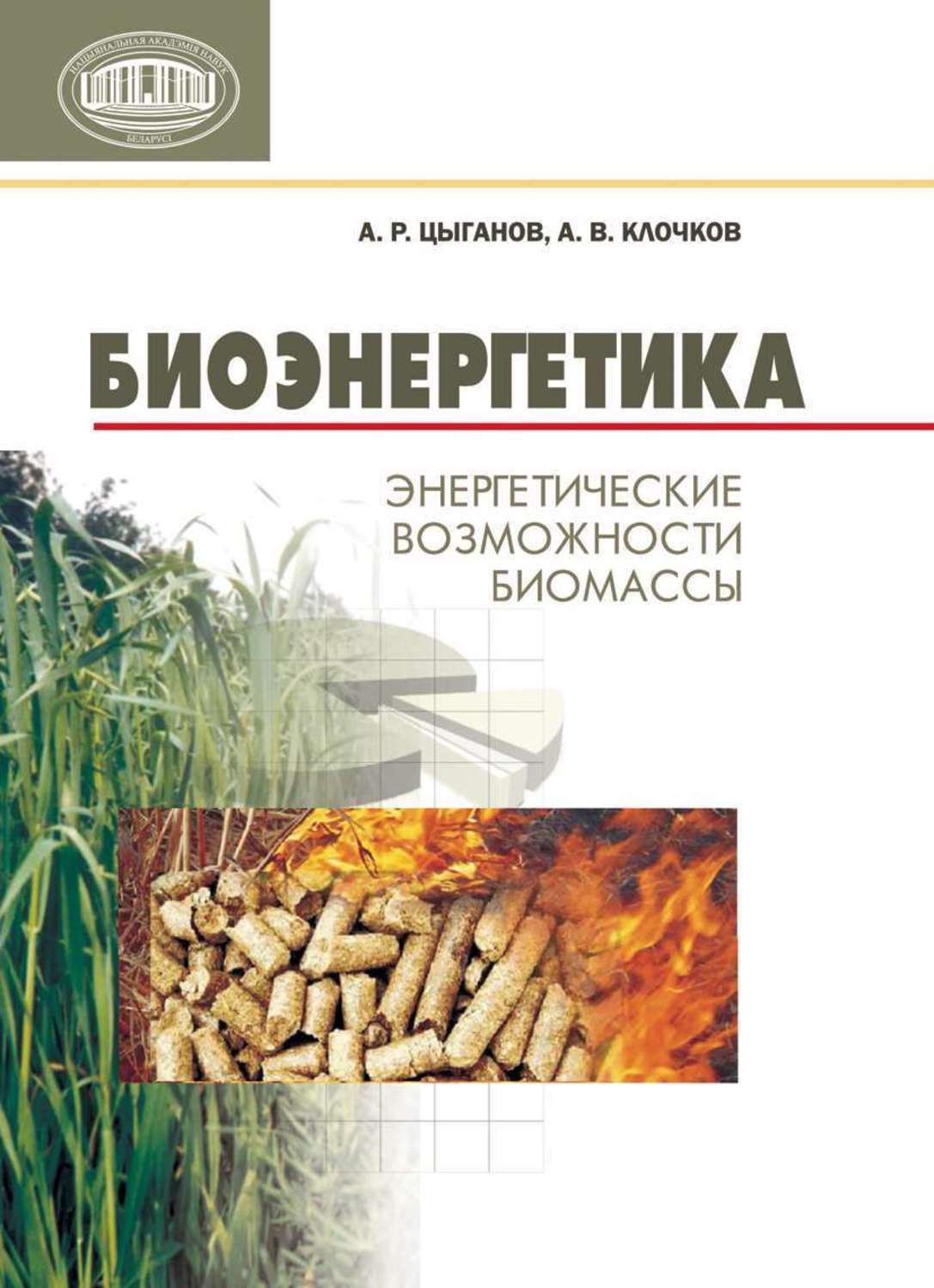 Обложка книги «Биоэнергетика. Энергетические возможности биомассы»