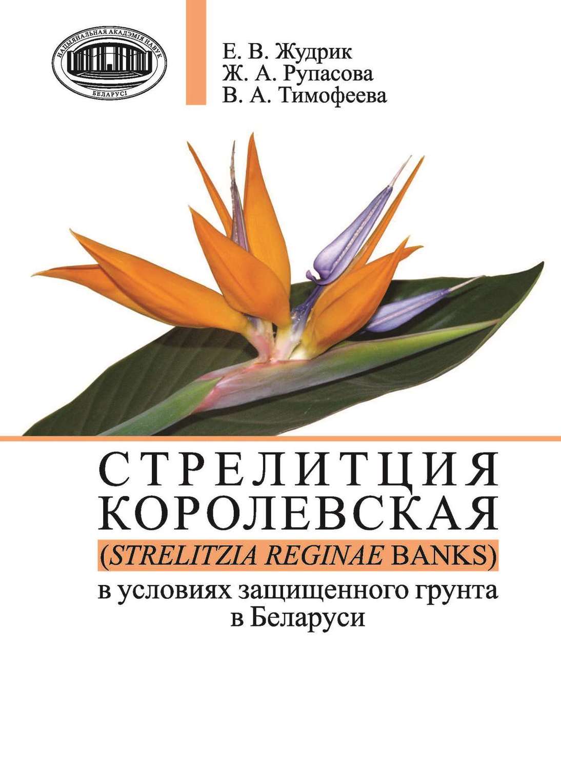 Обложка книги «Стрелитция королевская (Strelitzia reginae Banks) в условиях защищенного грунта в Беларуси»