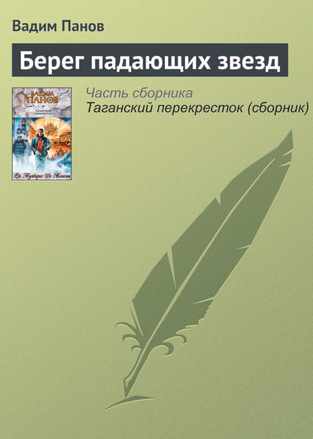 Обложка книги «Берег падающих звезд»