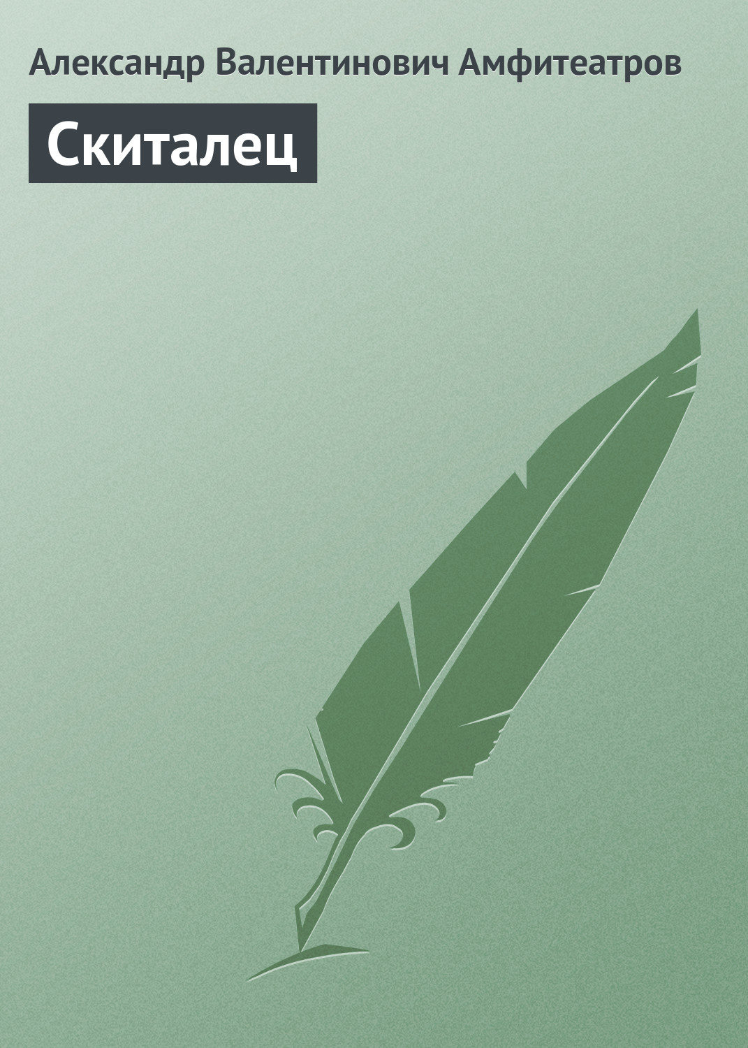 Обложка книги «Скиталец»