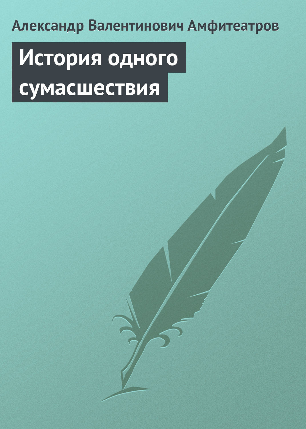 Обложка книги «История одного сумасшествия»