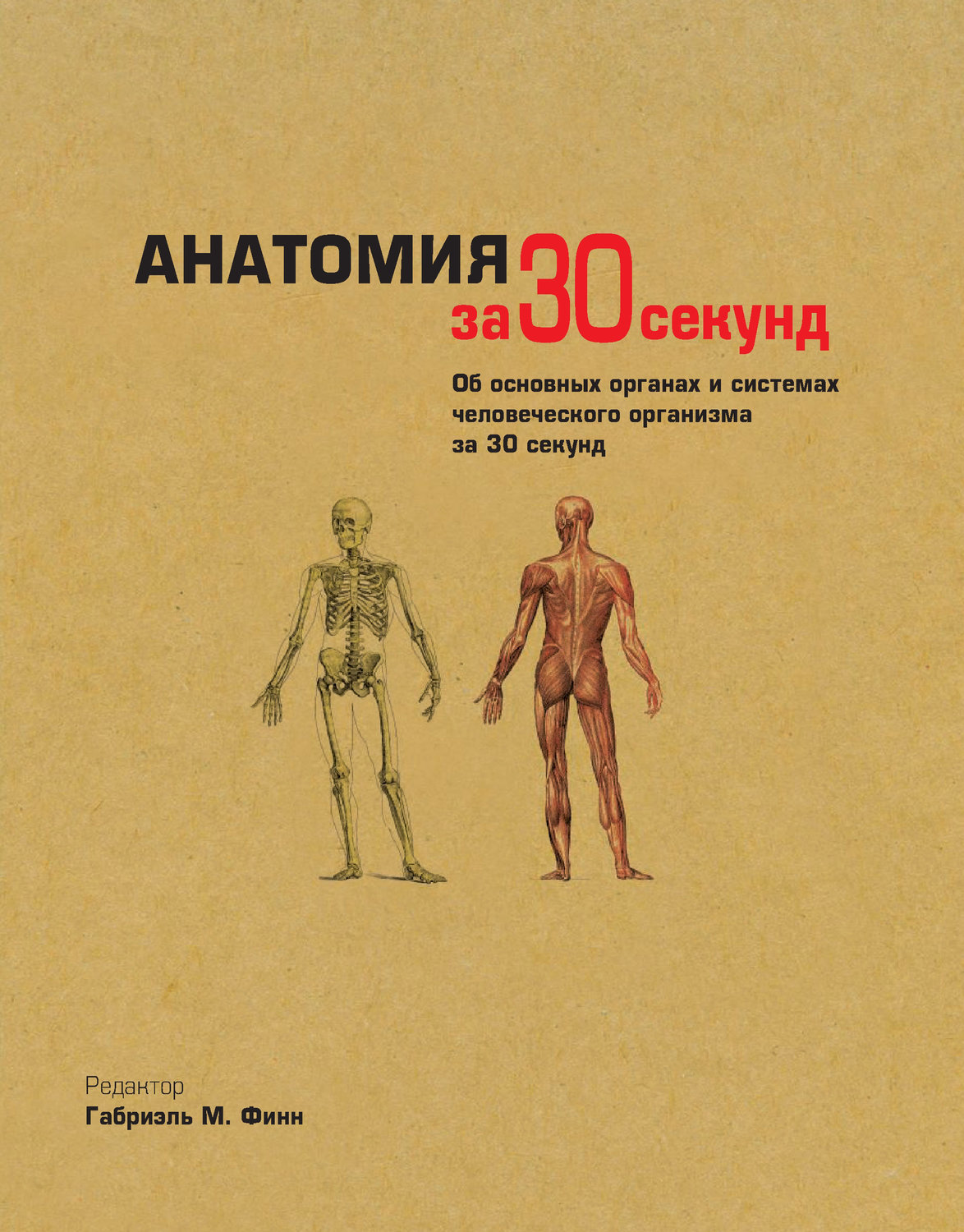 Обложка книги «Анатомия за 30 секунд»