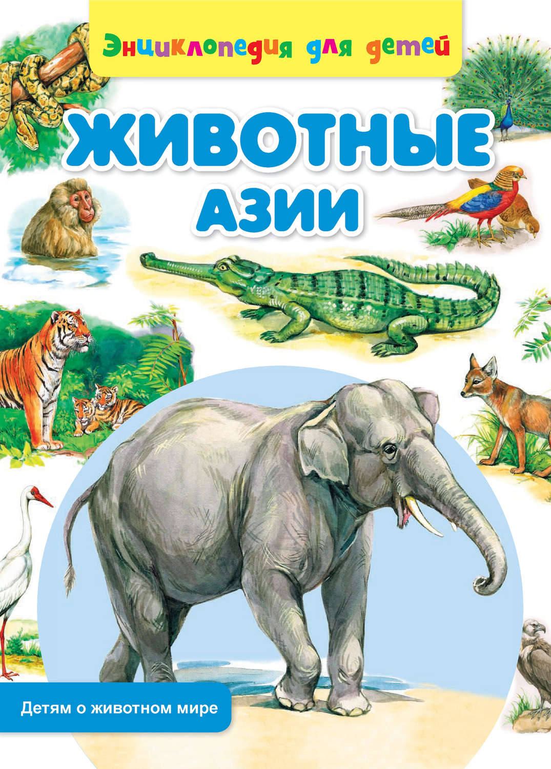 Обложка книги «Животные Азии»