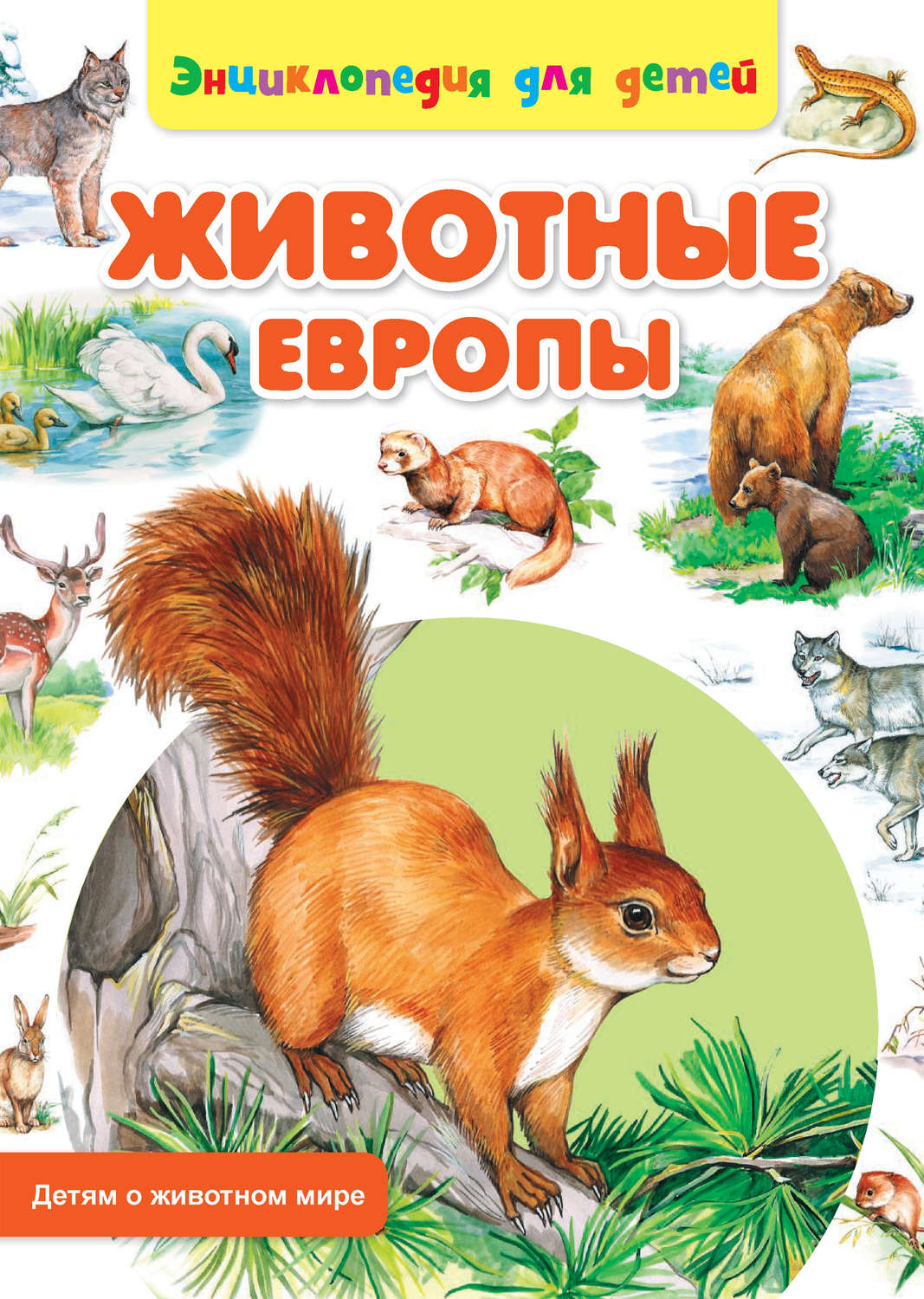 Обложка книги «Животные Европы»