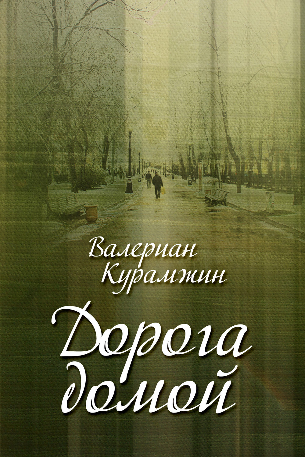 Обложка книги «Дорога домой (сборник)»
