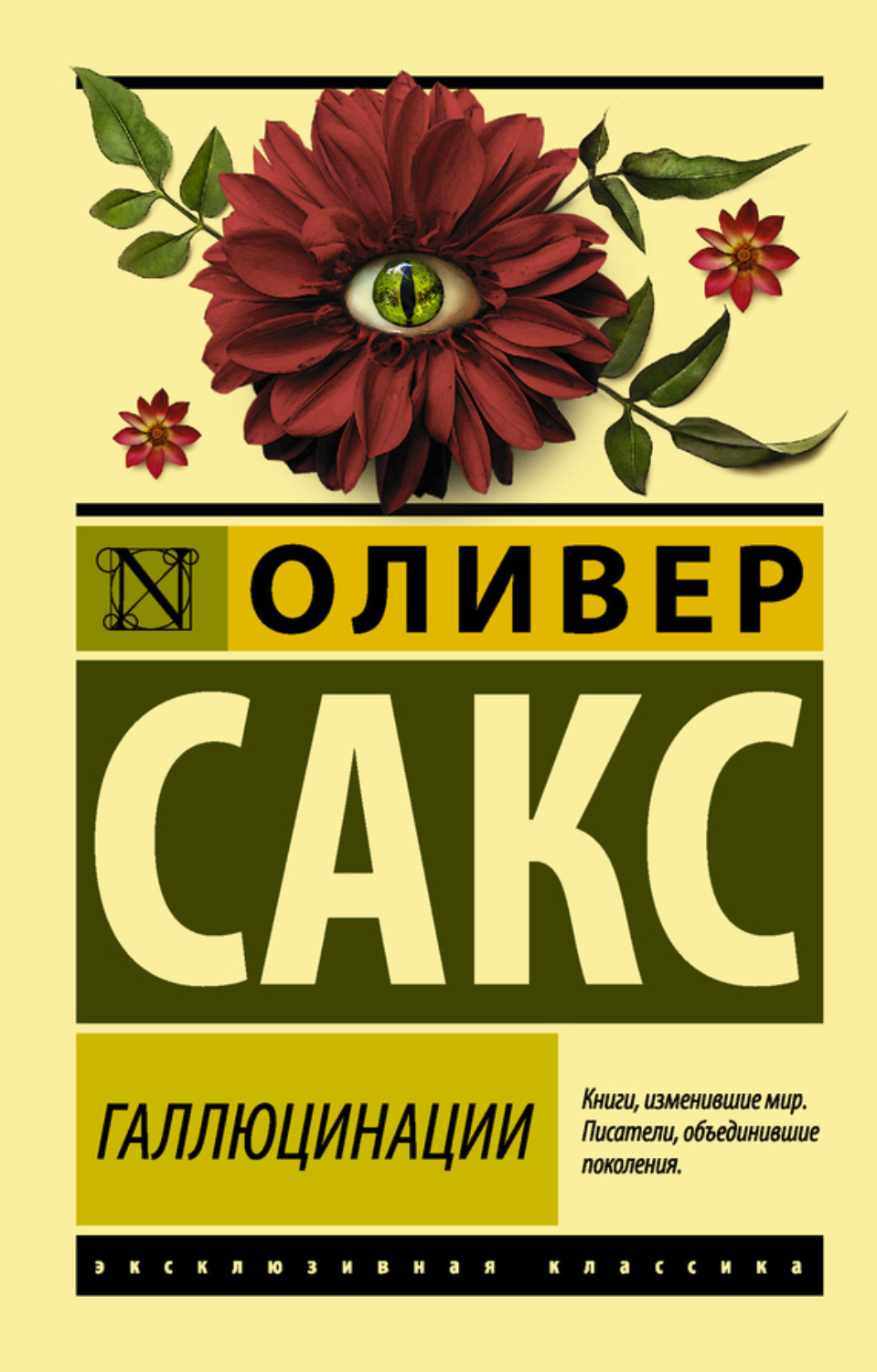 Обложка книги «Галлюцинации»