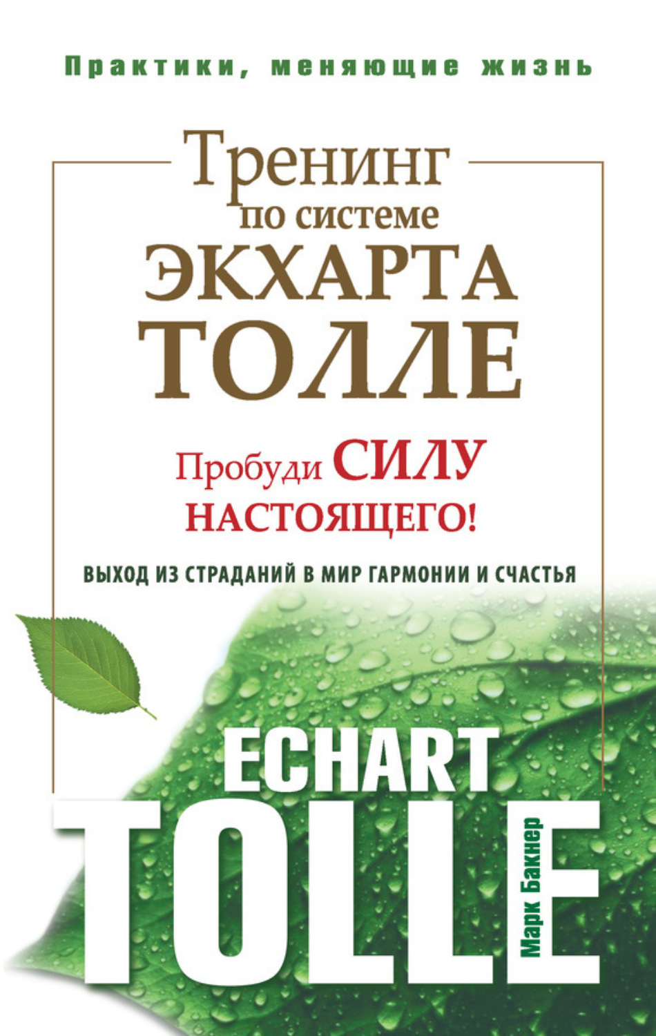 Обложка книги «Тренинг по системе Экхарта Толле. Пробуди силу настоящего! Выход из страданий в мир гармонии и счастья»