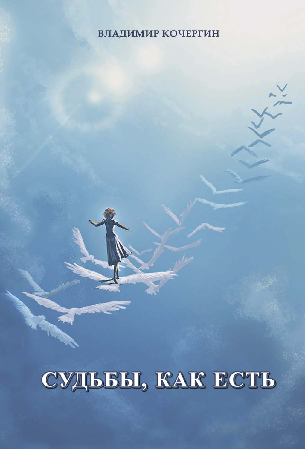 Обложка книги «Судьбы, как есть»
