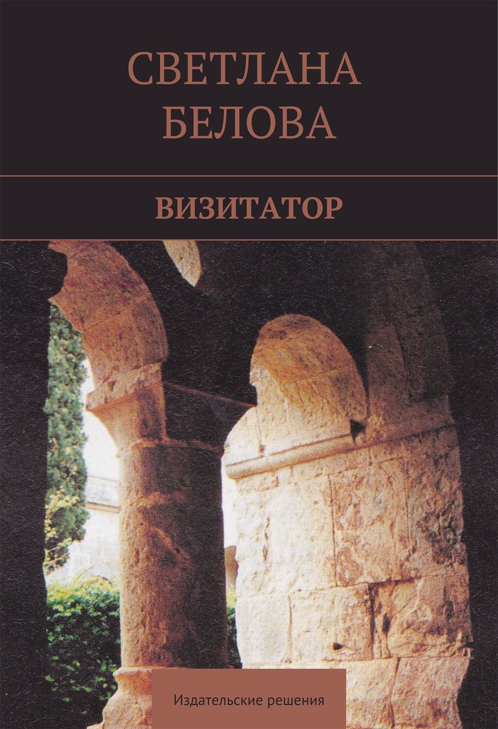 Обложка книги «Визитатор»