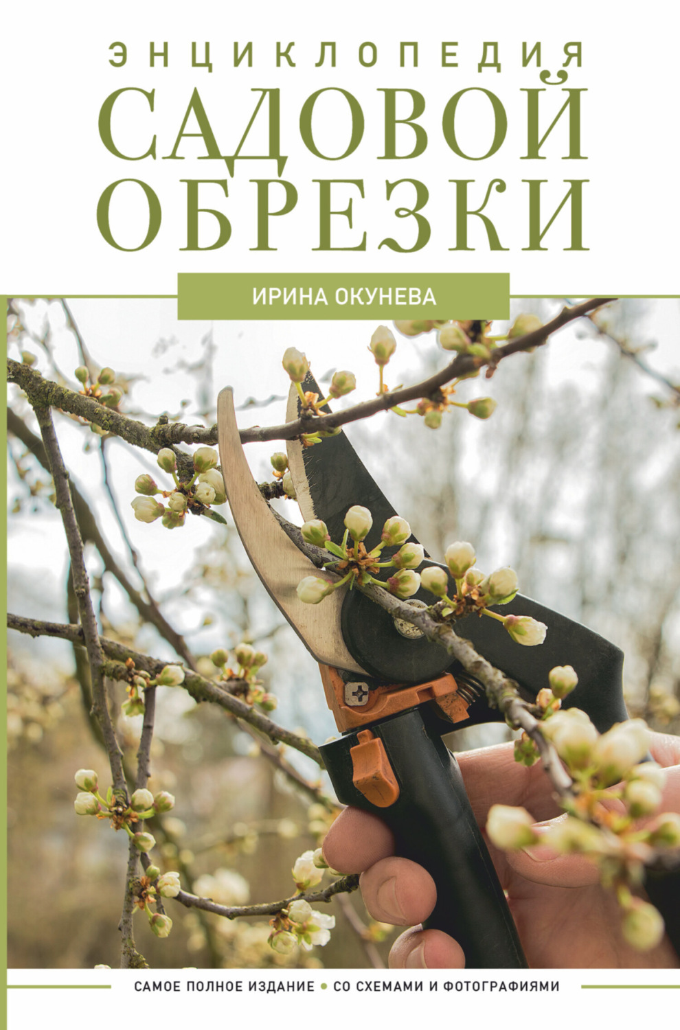 Обложка книги «Энциклопедия садовой обрезки»