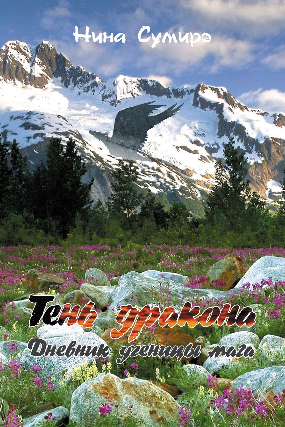 Обложка книги «Тень дракона. Дневник ученицы мага»