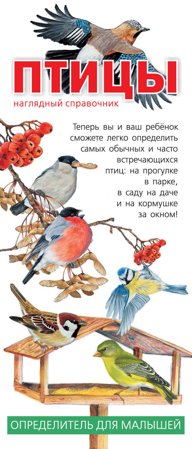 Обложка книги «Птицы. Наглядный справочник. Определитель для малышей»