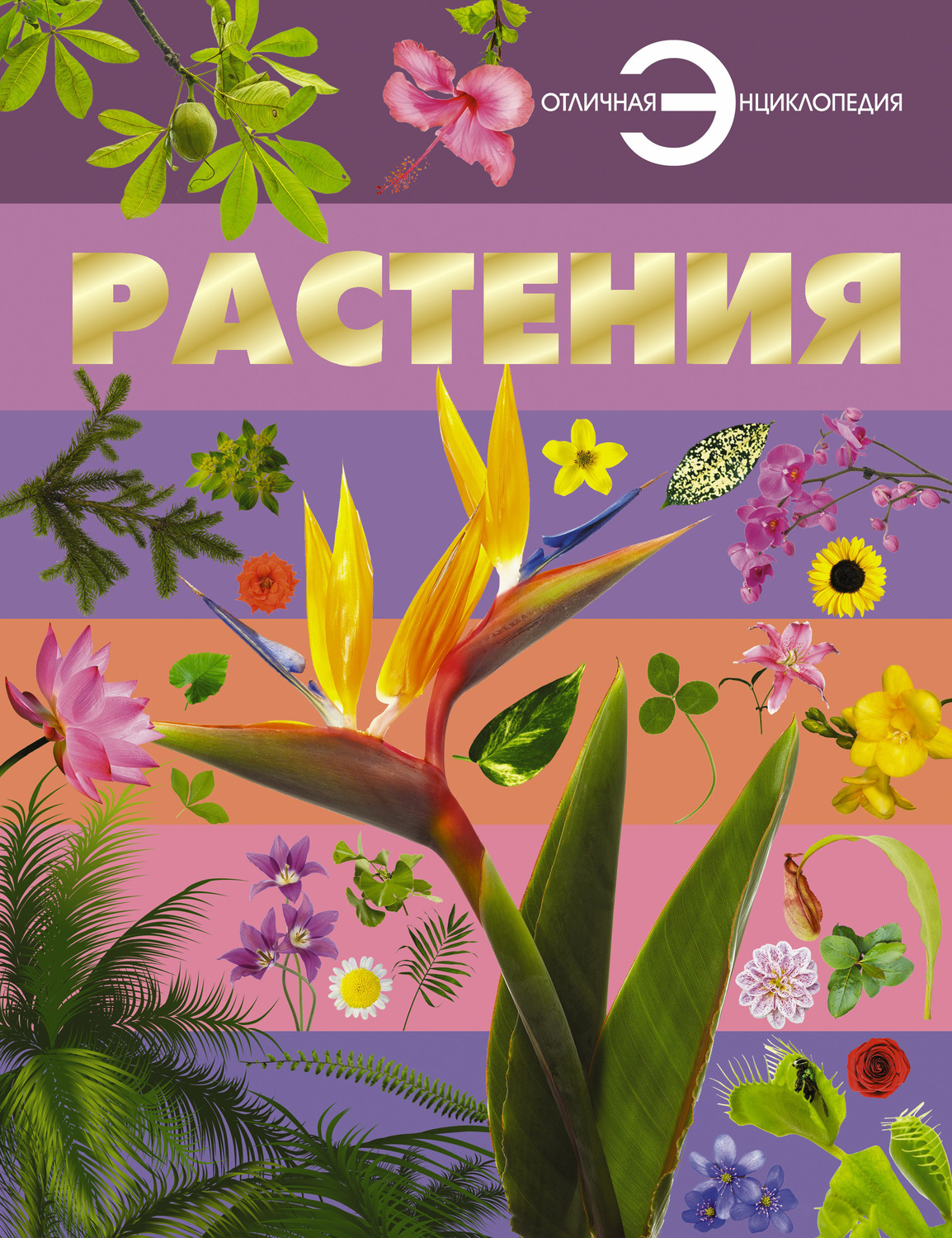 Обложка книги «Растения»