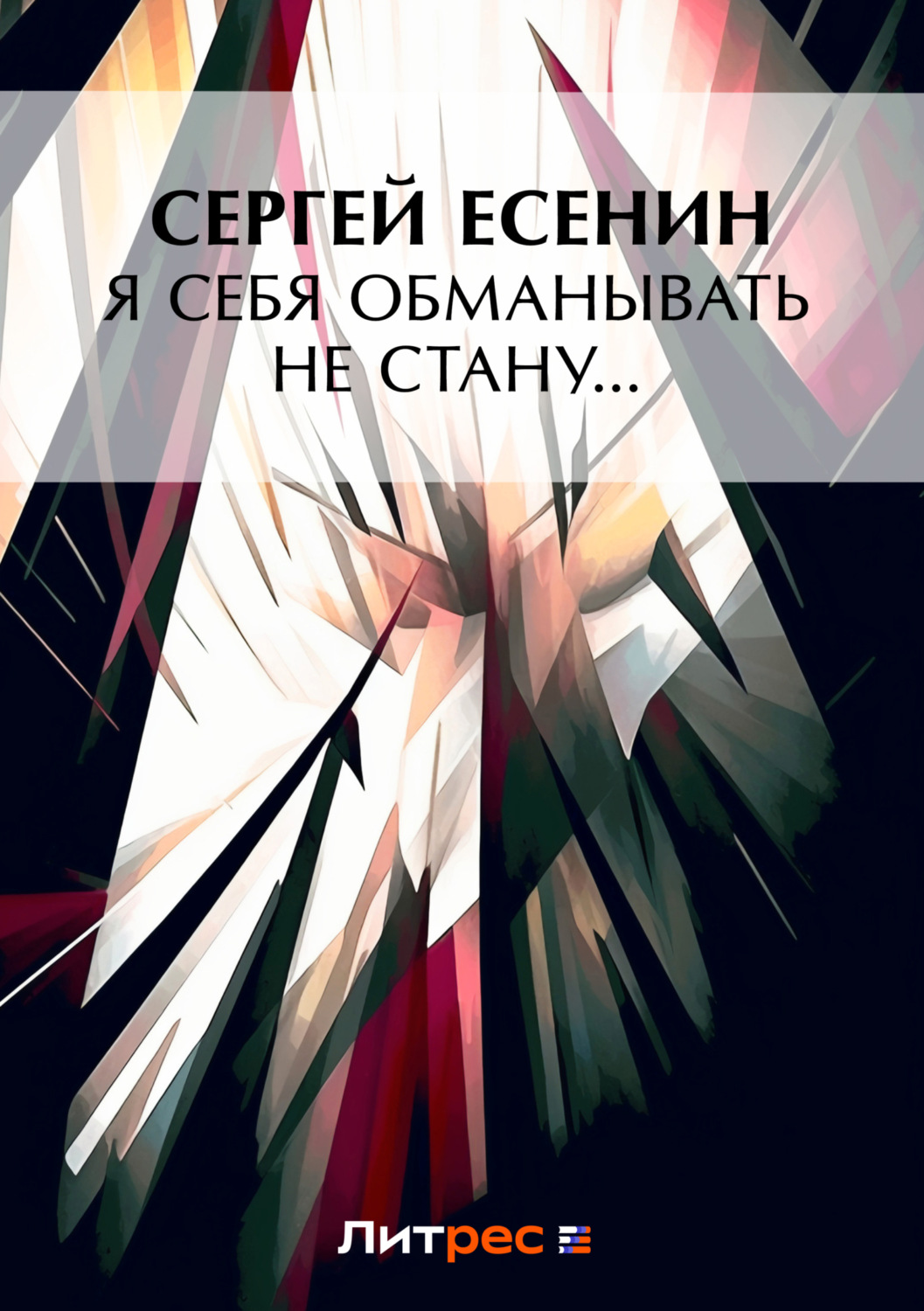 Обложка книги «Я обманывать себя не стану…»