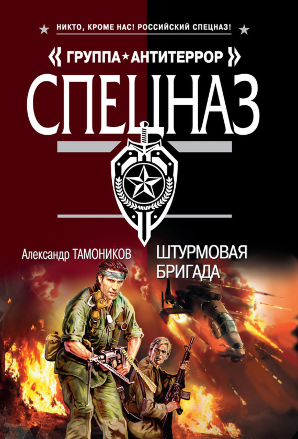 Обложка книги «Штурмовая бригада»