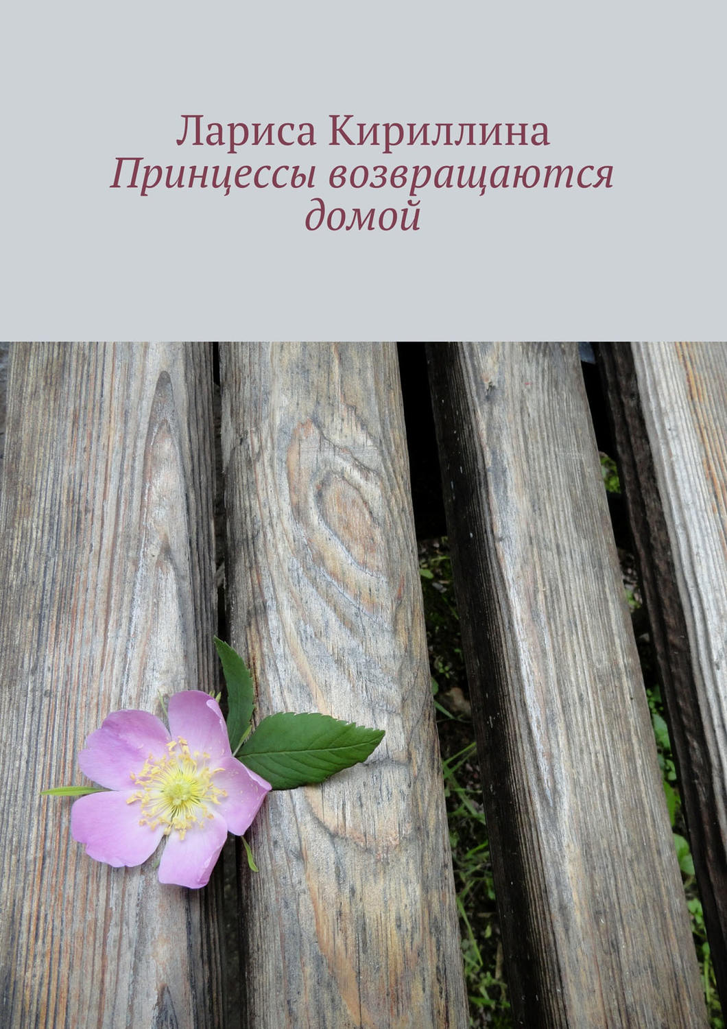 Обложка книги «Принцессы возвращаются домой»