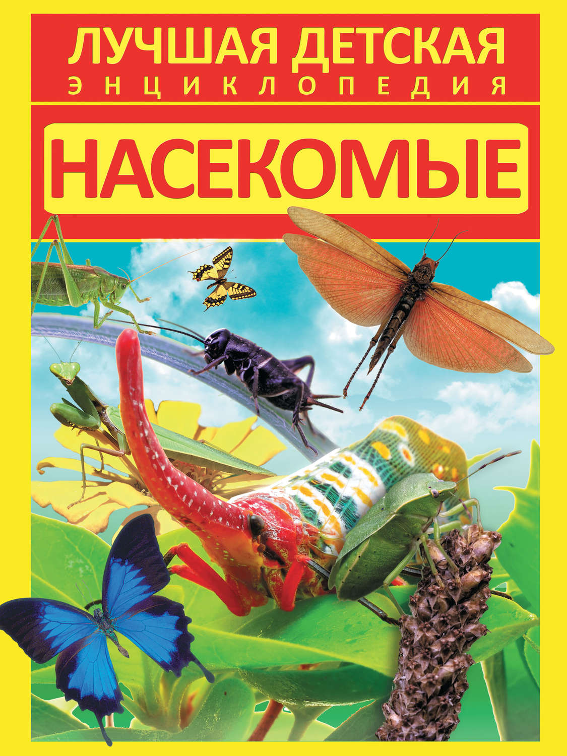 Обложка книги «Насекомые»