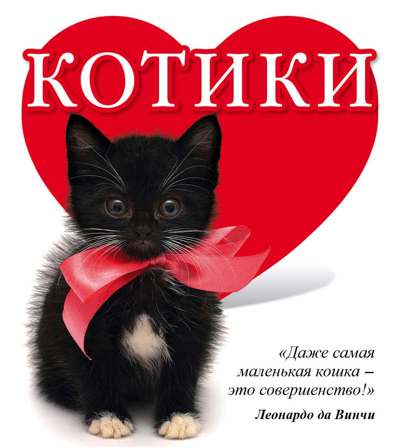 Обложка книги «Котики»