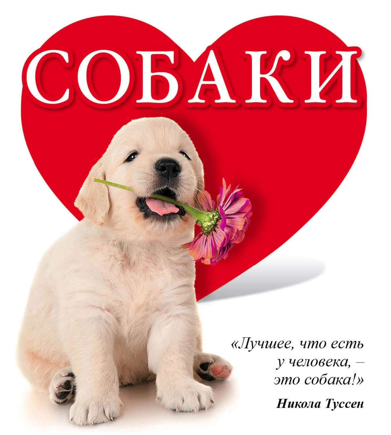 Обложка книги «Собаки»