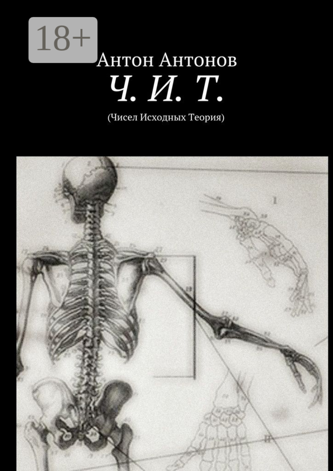 Обложка книги «Ч. И. Т. (Чисел Исходных Теория)»