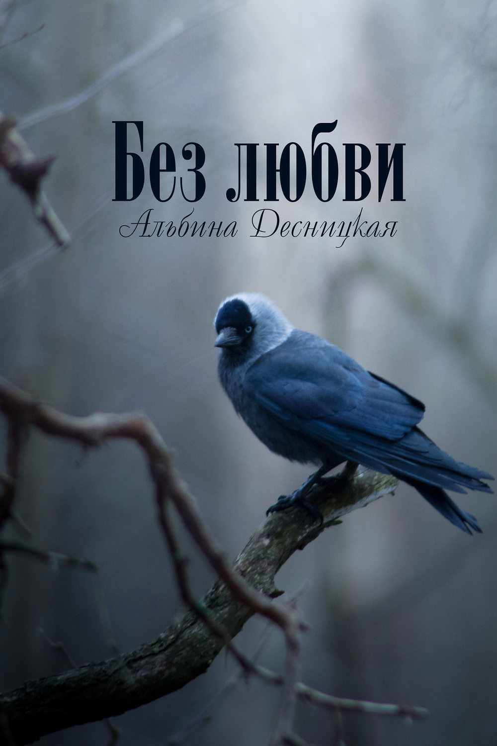 Обложка книги «Без любви»
