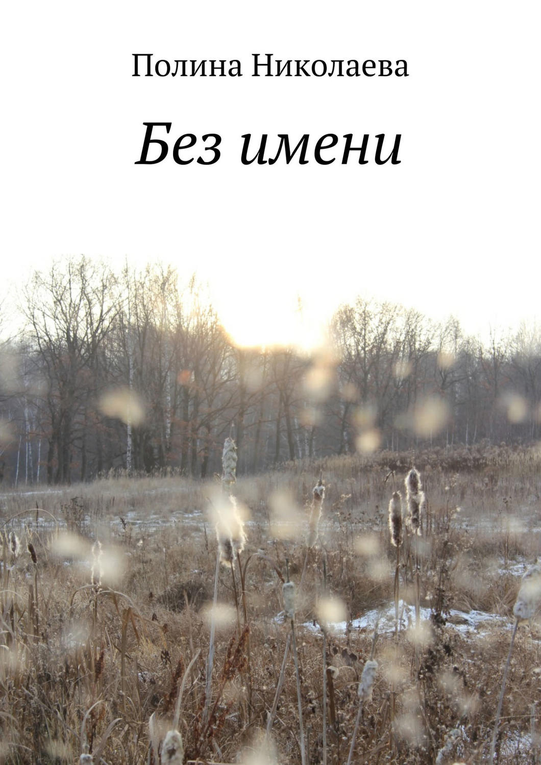 Обложка книги «Без имени»