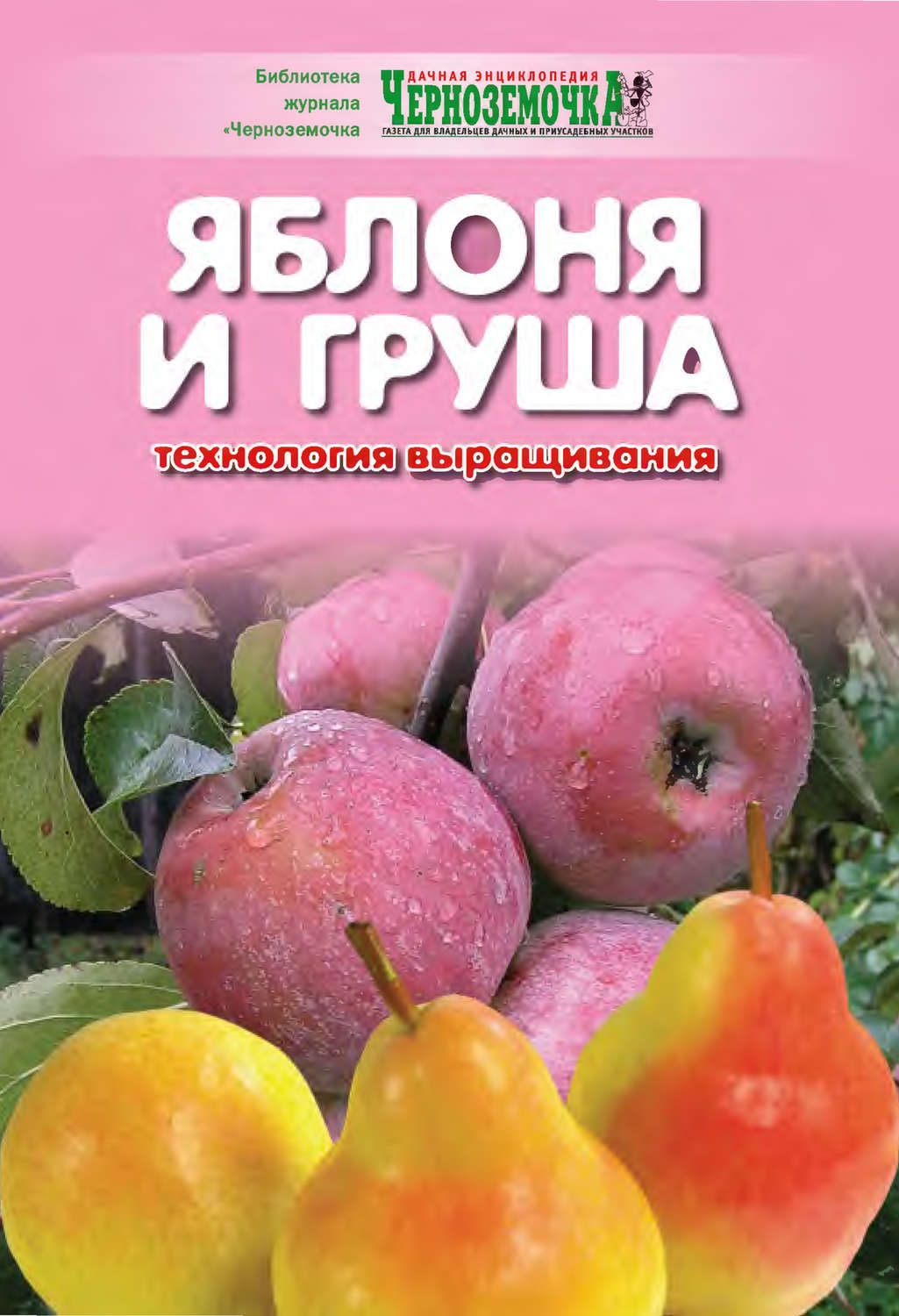 Обложка книги «Яблоня и груша. Технология выращивания»
