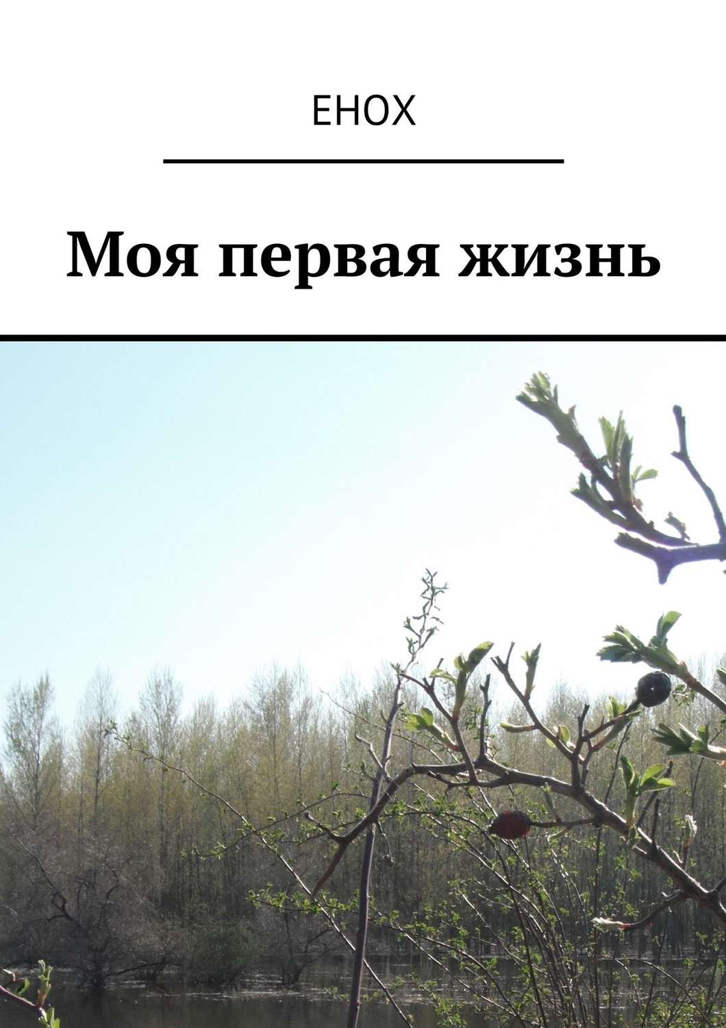 Обложка книги «Моя первая жизнь»