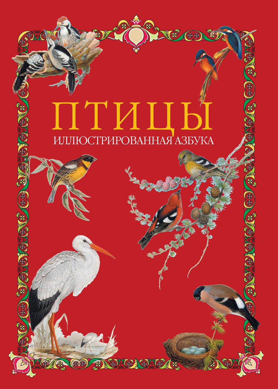Обложка книги «Птицы. Иллюстрированная азбука»