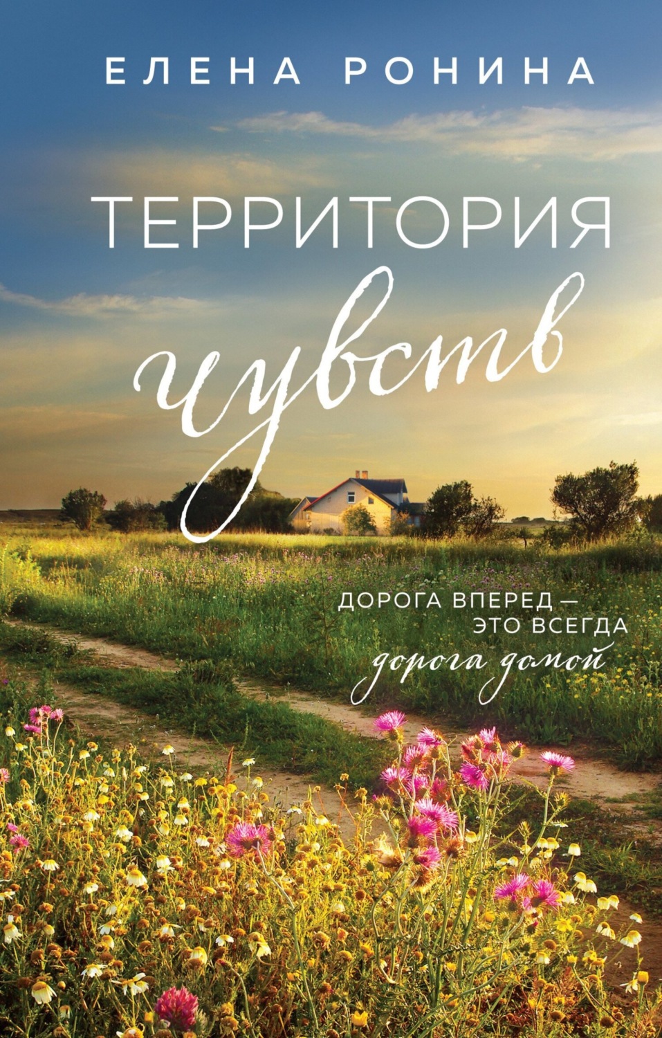 Обложка книги «Территория чувств»