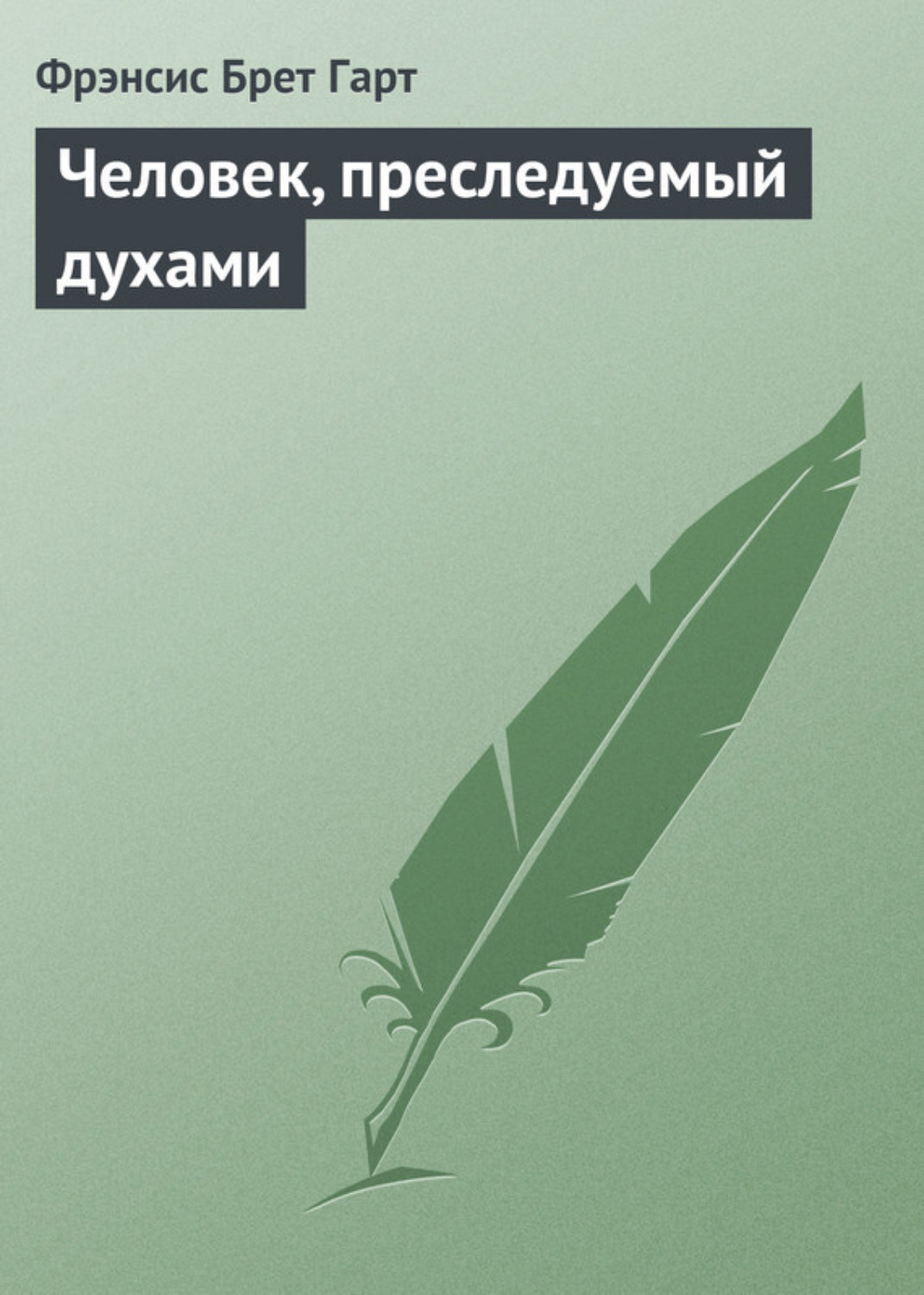 Обложка книги «Человек, преследуемый духами»