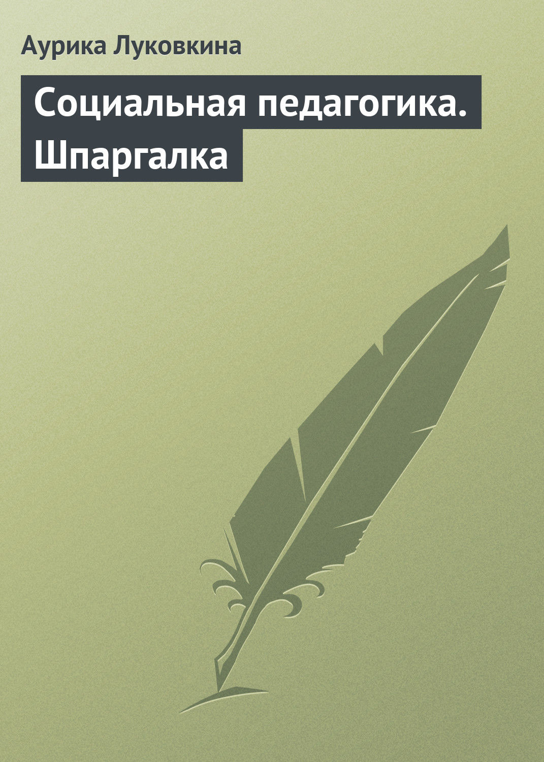 Обложка книги «Социальная педагогика. Шпаргалка»