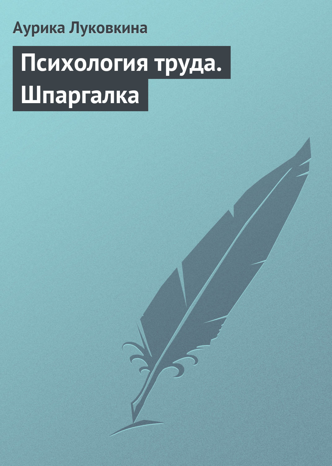 Обложка книги «Психология труда. Шпаргалка»