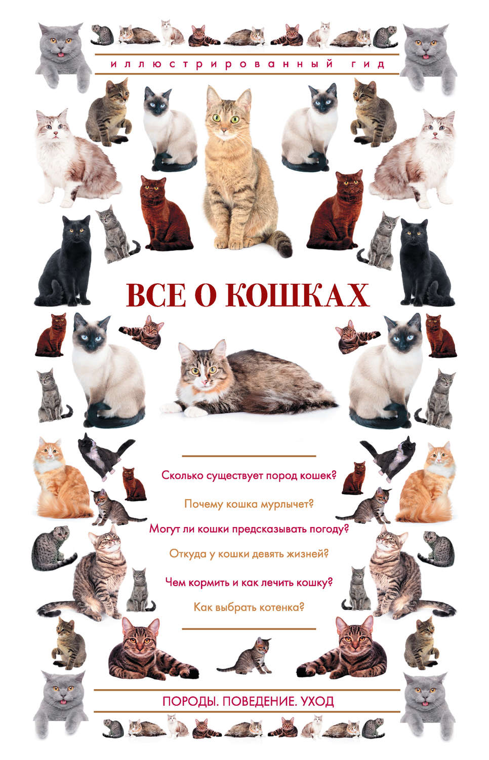 Обложка книги «Все о кошках. Иллюстрированный гид»