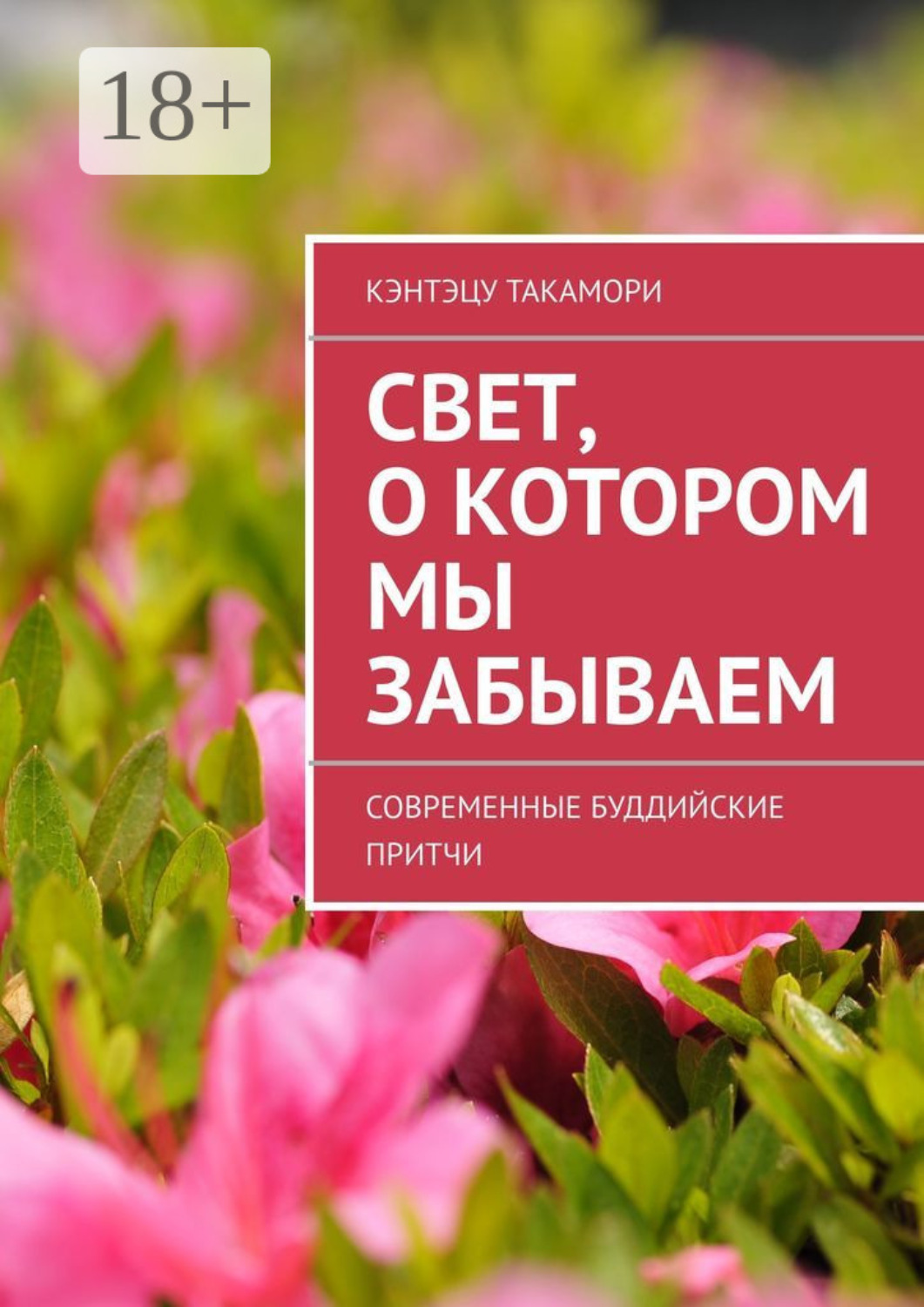 Обложка книги «Свет, о котором мы забываем. Современные буддийские притчи»