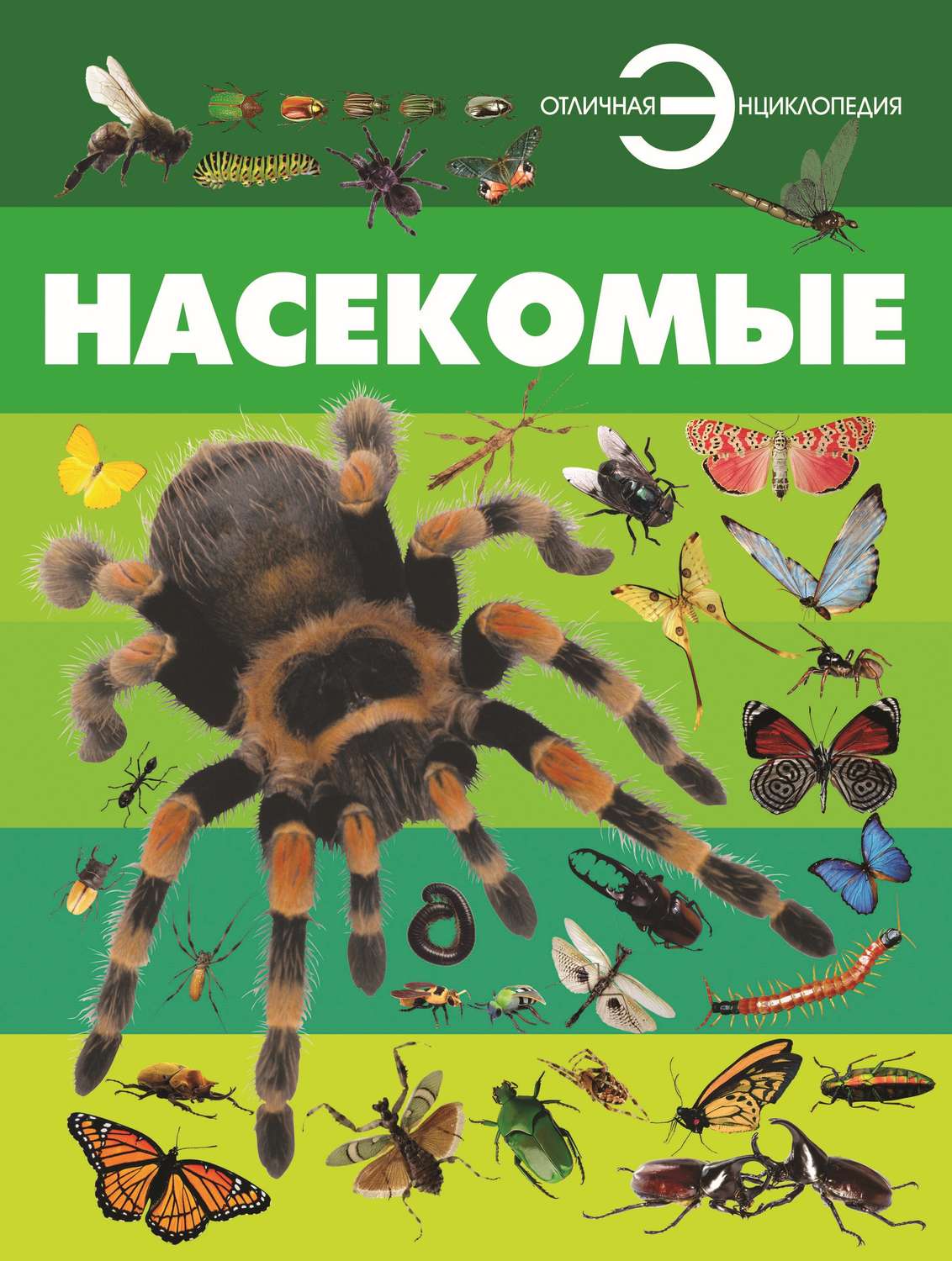Обложка книги «Насекомые»